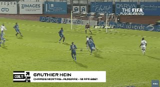 江南-2021普斯卡什奖评选结果公布：拉梅拉插花脚当选